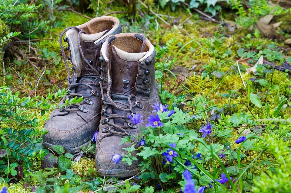 hiking-1316710_960_720.jpg