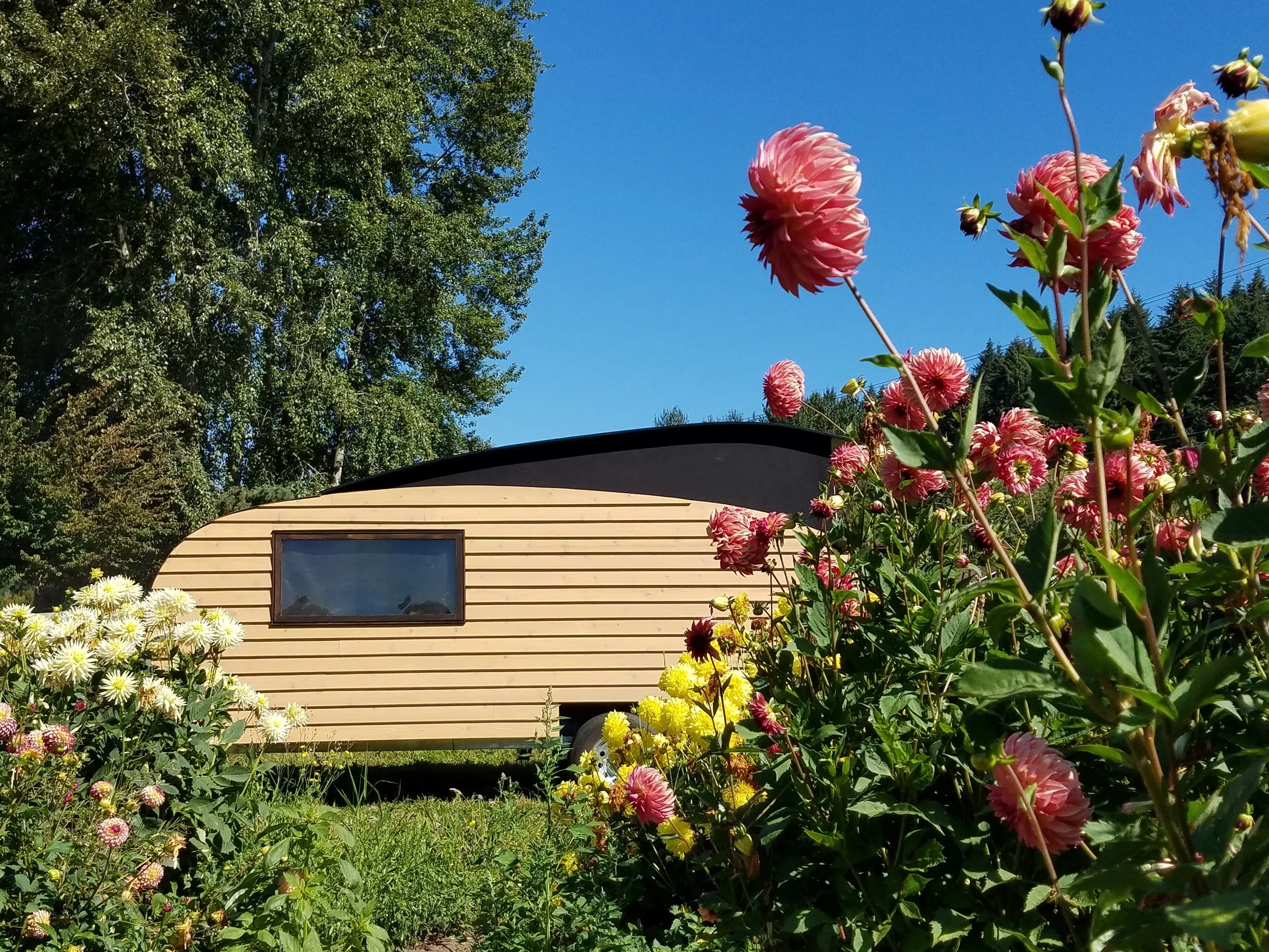 20160818_110917.jpg