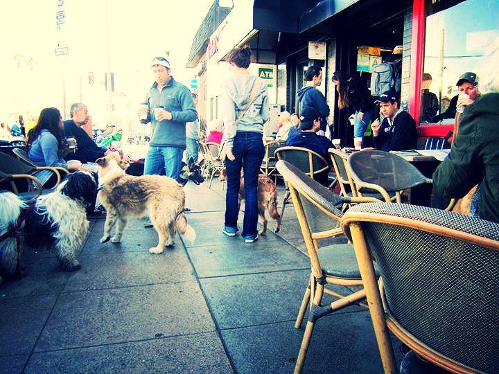 Be yourself. Bring your dog. Meet somebody you never thought it was possible to meet. (Photo thanks to Yelp.)