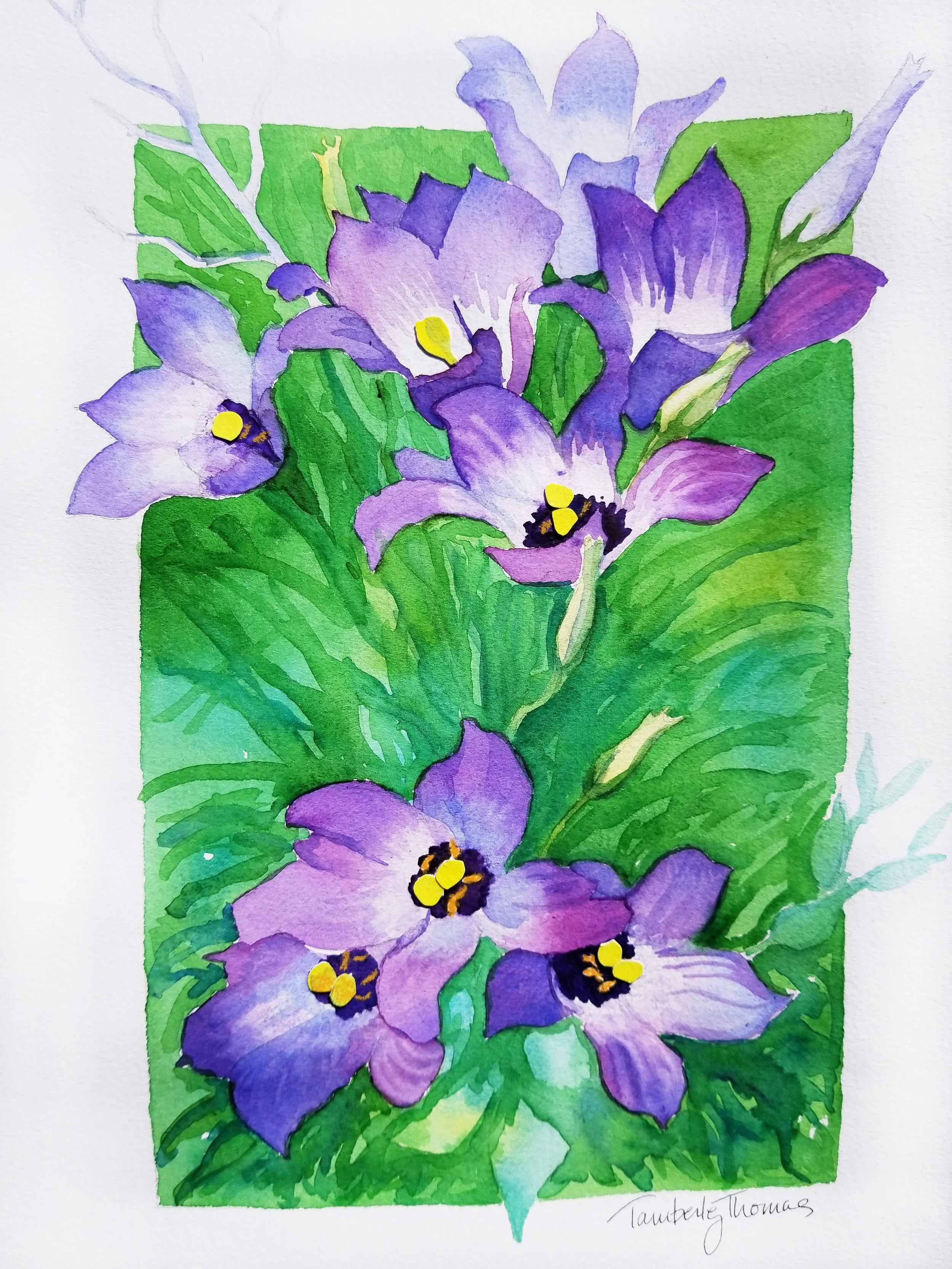 bluebells.jpg
