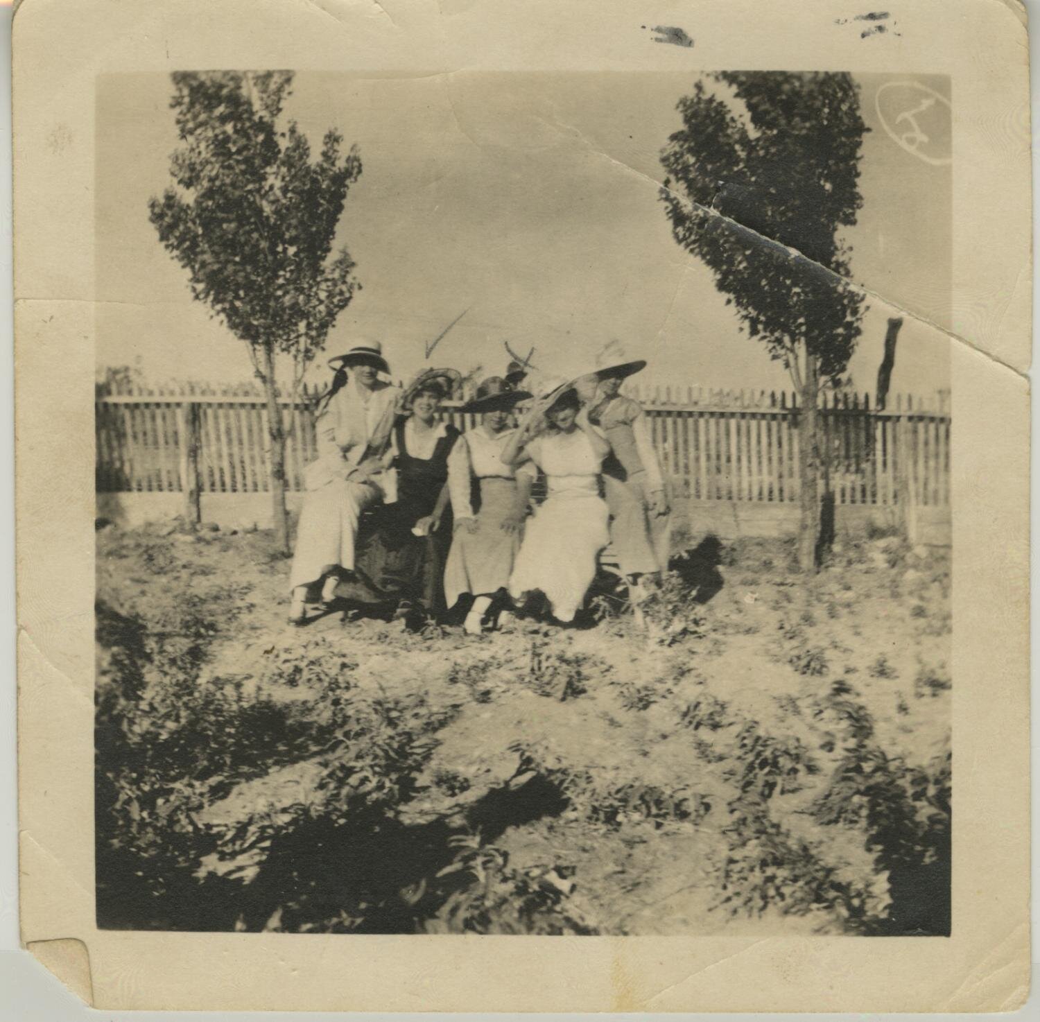  [Photograph of Women in Garden], photograph, 1914; (https://texashistory.unt.edu/ark:/67531/metapth596816/m1/1/: accessed June 2, 2019), University of North Texas Libraries, The Portal to Texas History, https://texashistory.unt.edu; crediting Abilen
