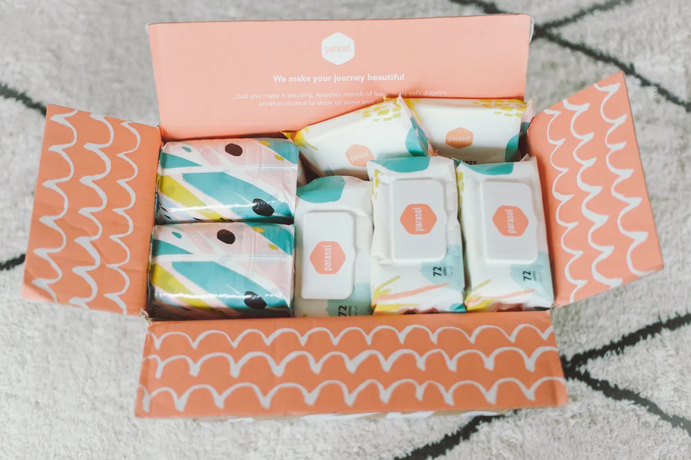 parasol diaper review — touch of gray