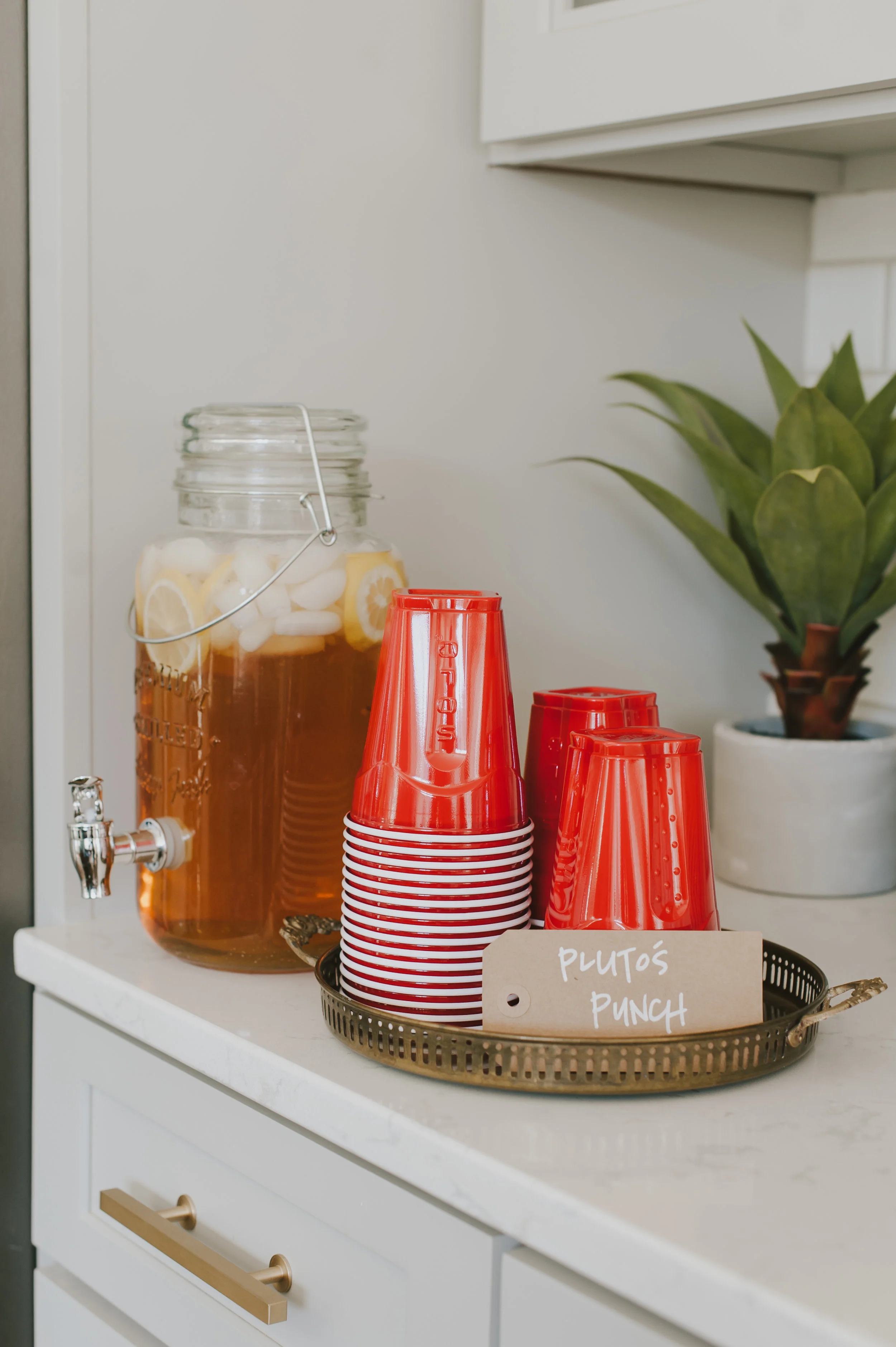 plutos punch was wassail that elizabeth and i made with 1 gallon of organic apple juice, 5 drops of YL cinnamon bark, 5 drop of YL clove, and 4 drops of YL orange essential oils. tastes amazing and is a great immunity booster!