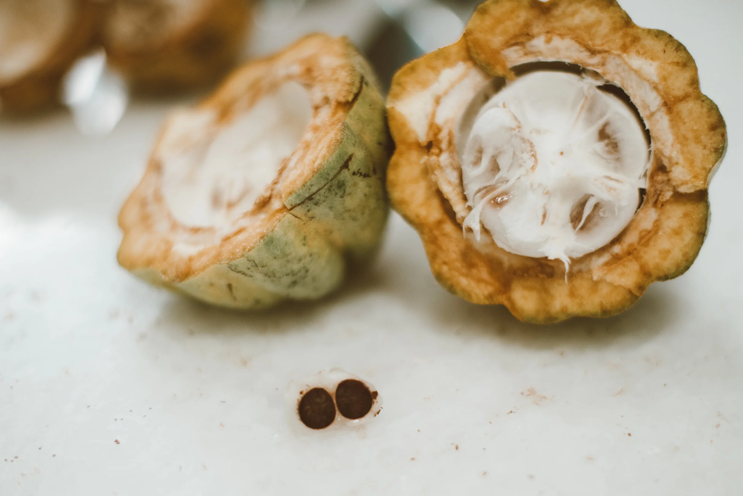 inside of the cocoa fruit (which tastes amazing btw) and the seeds that become chocolate...