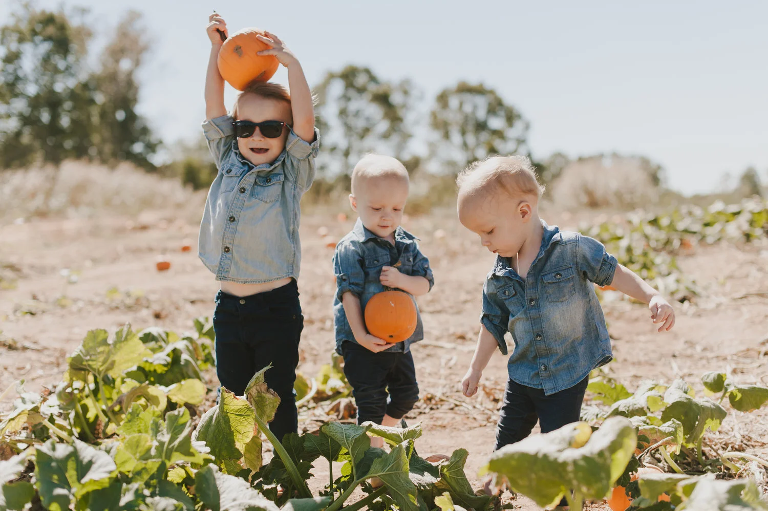 it's a family tradition