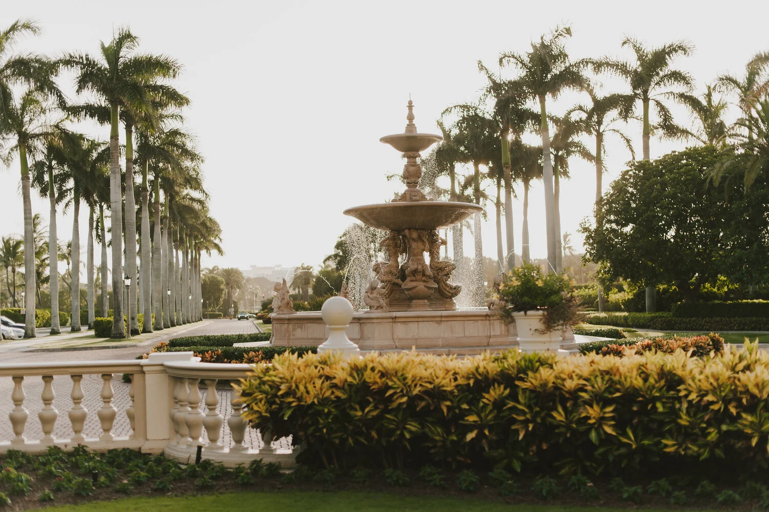 hallie's bachelorette