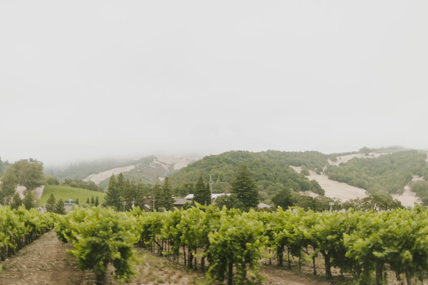 San Francisco / Napa