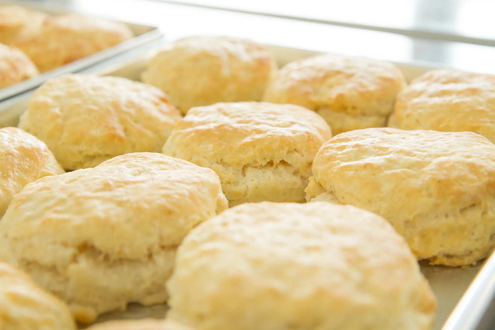 scratch biscuit-6022.jpg