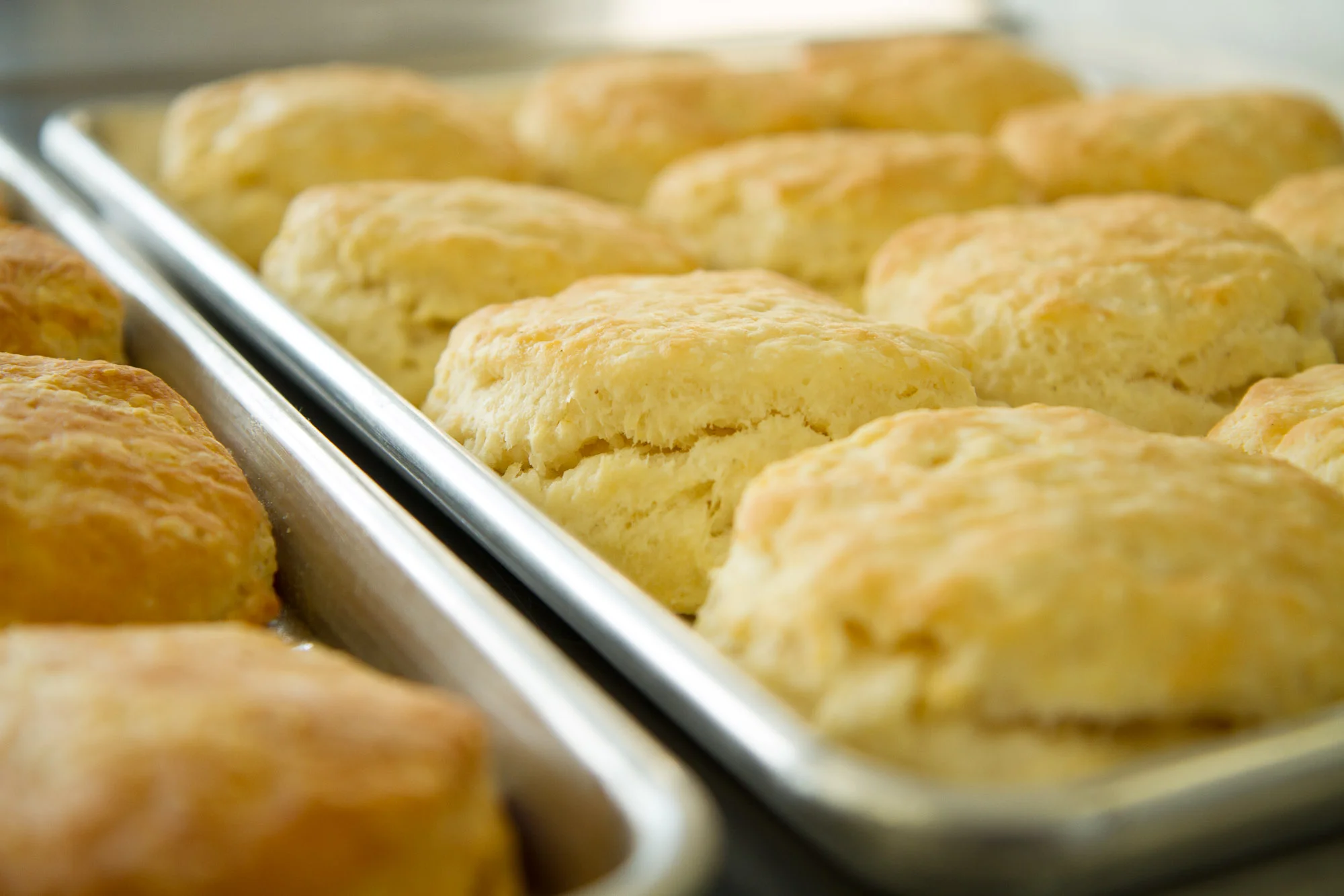 scratch biscuit-6024.jpg