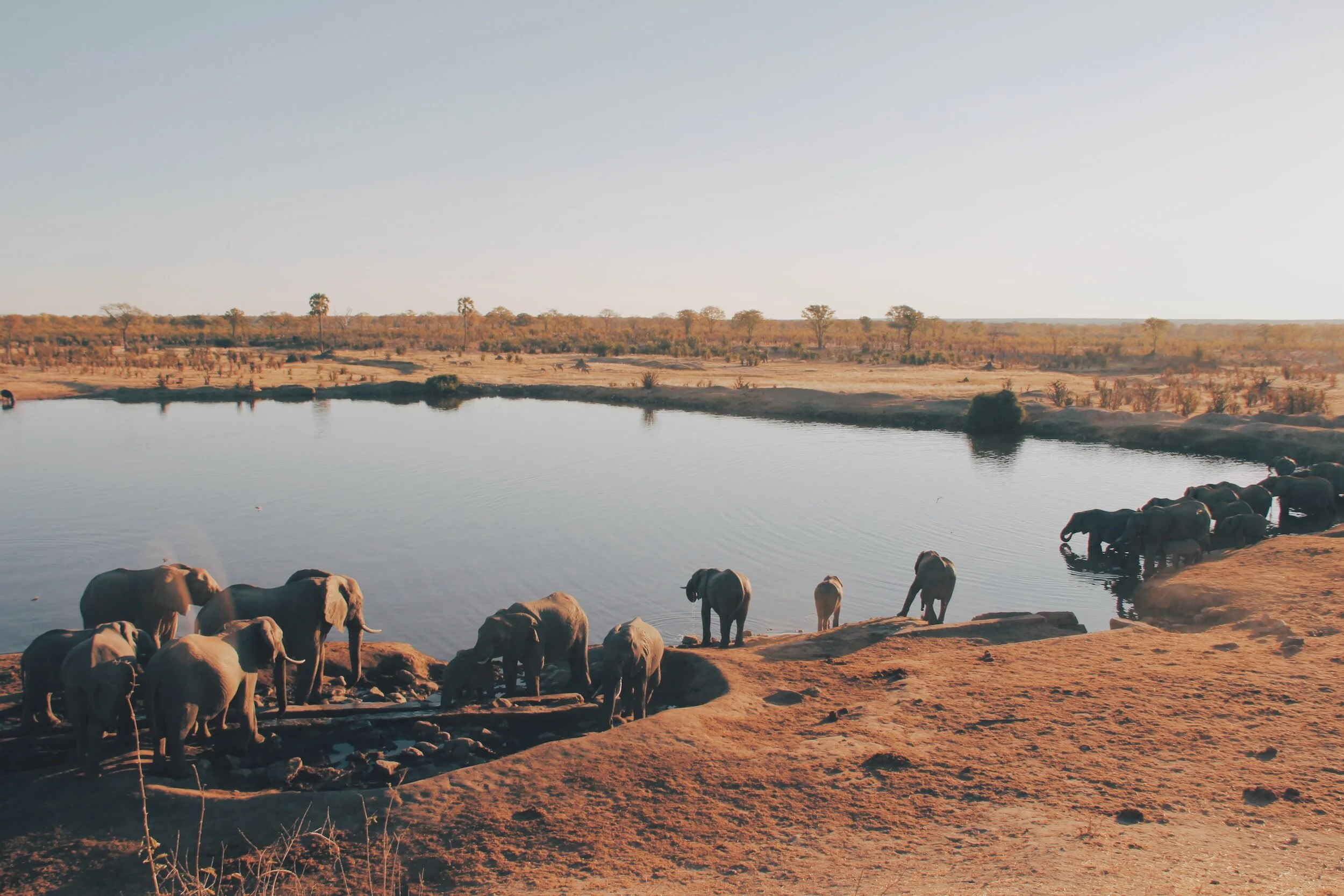 The Water Hole