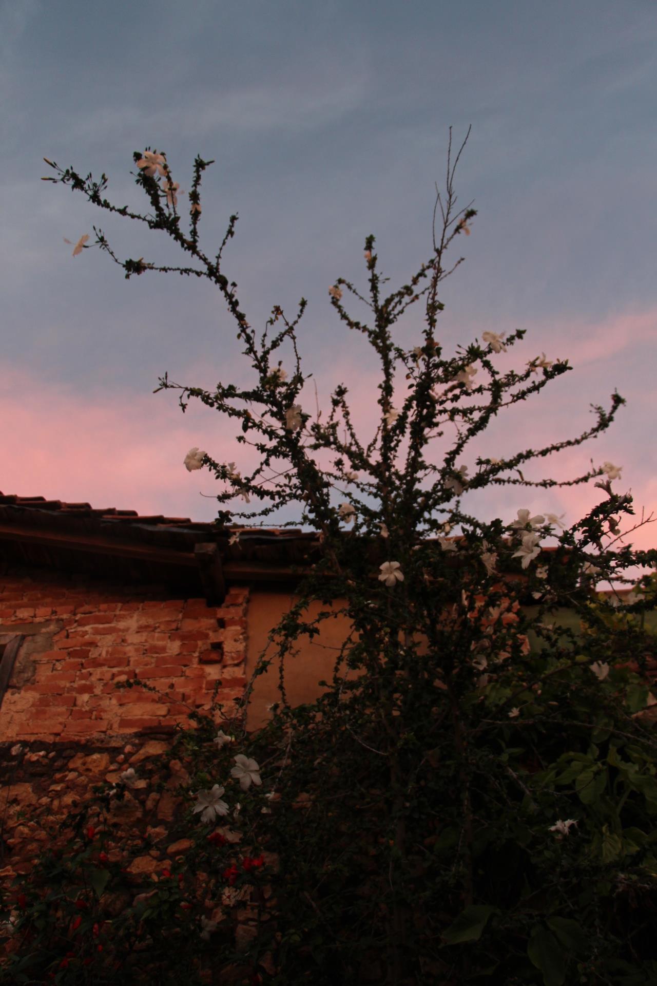   So many beautiful sunsets that highlighted the pastels of Cuba.  &nbsp;  