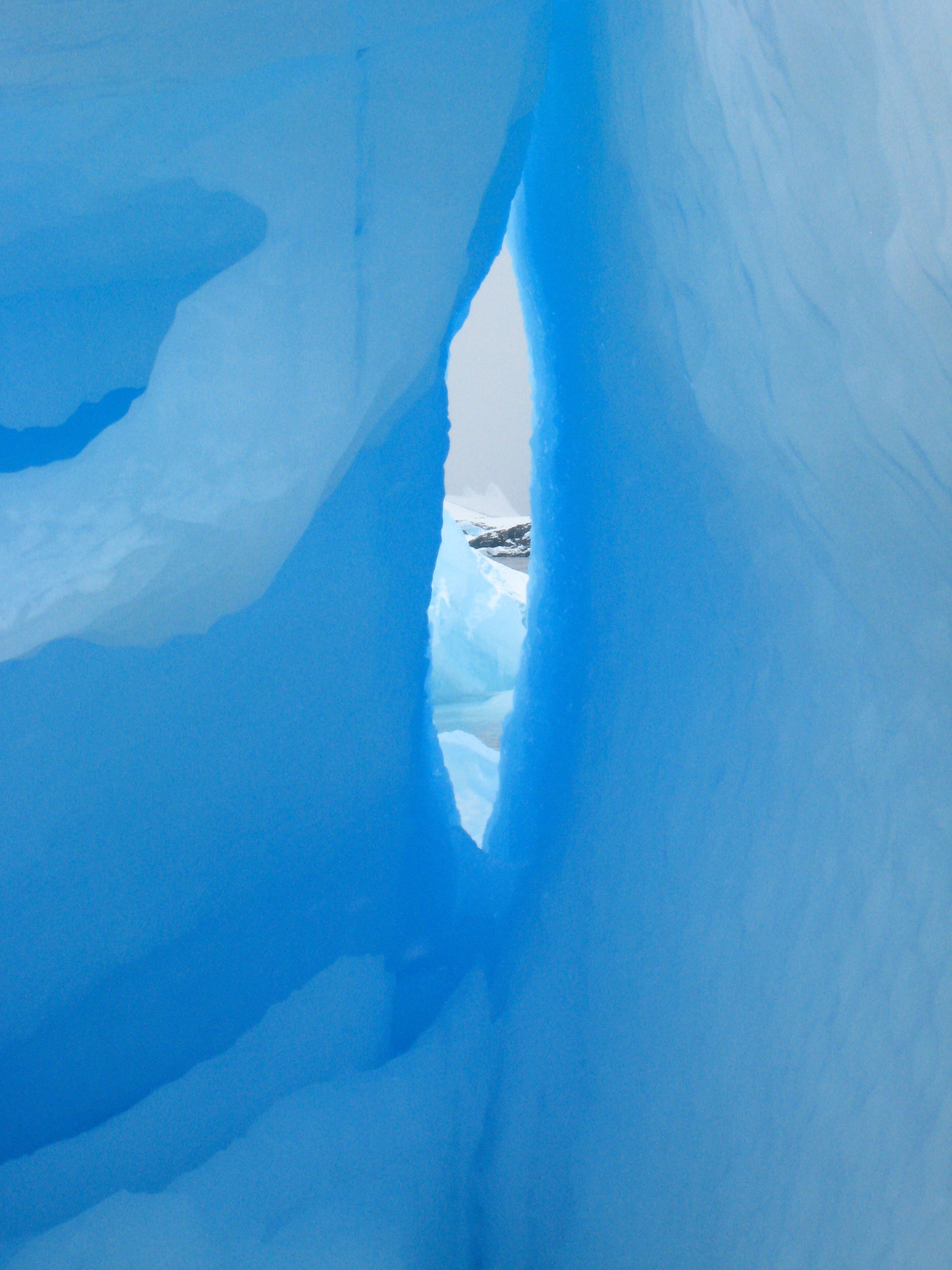Antarctica - 19 of 33.jpg