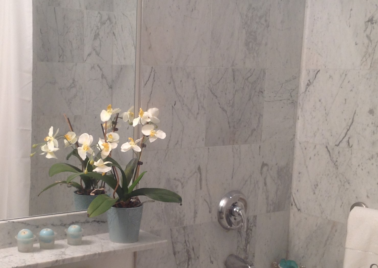 orchids in marble bathroom.JPG