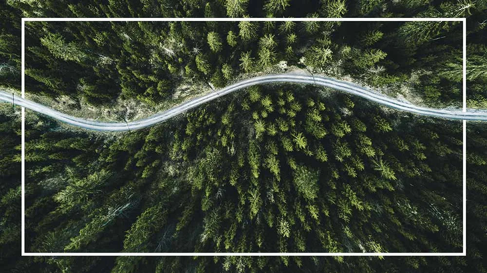 Clients fight climate change in Oregon