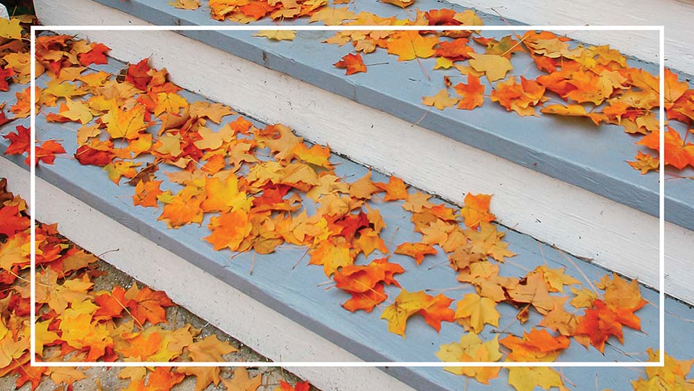 Fall Home Performance Priorities