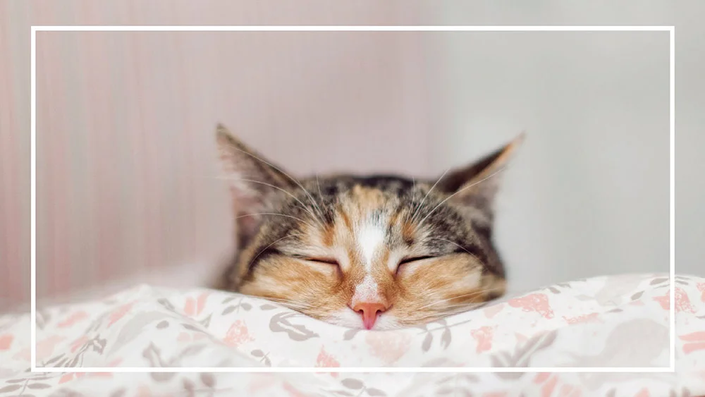 How to maintain your home this winter