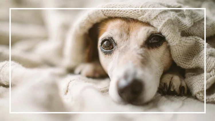 GreenSavers What is the most efficient way to heat a home? — Home energy  contractor in Portland and Bend, Oregon. Install insulation, HVAC, and  windows.