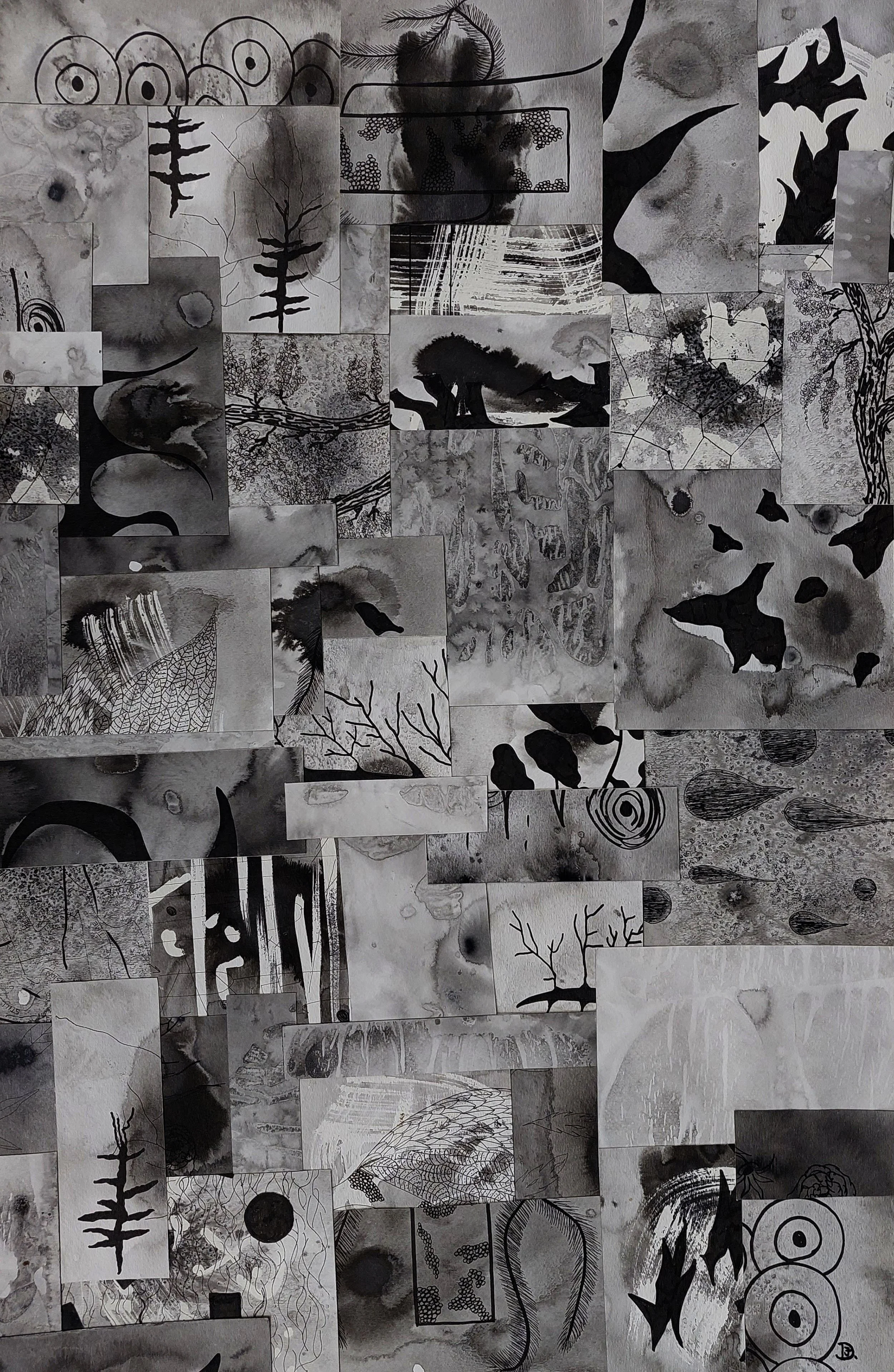 Ink and Watercolor Collage, black and white, detailed line work, shapes, pouring ink, botanical forms.