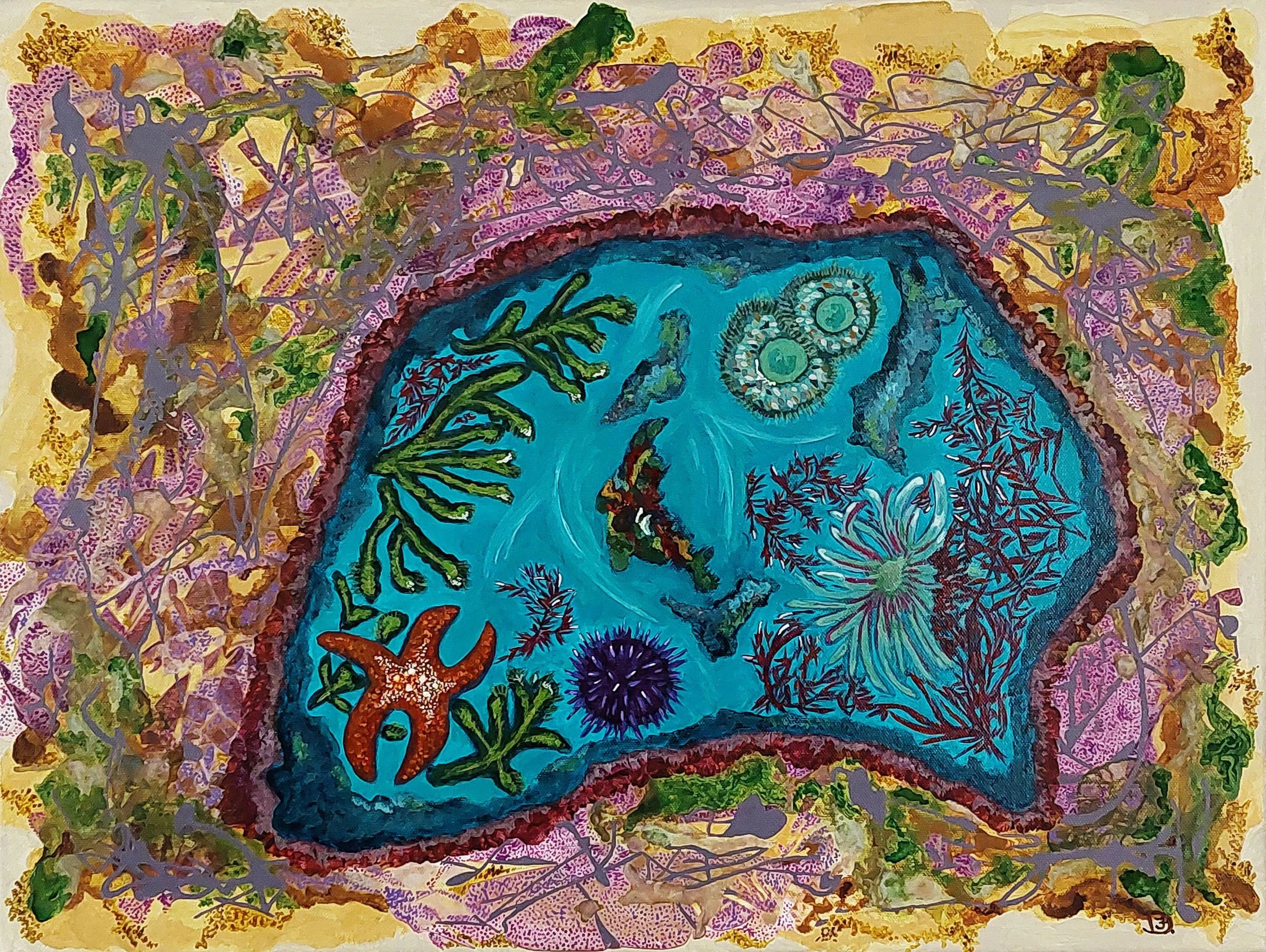 Sunlit Tidepool, featuring colorful ocean life.