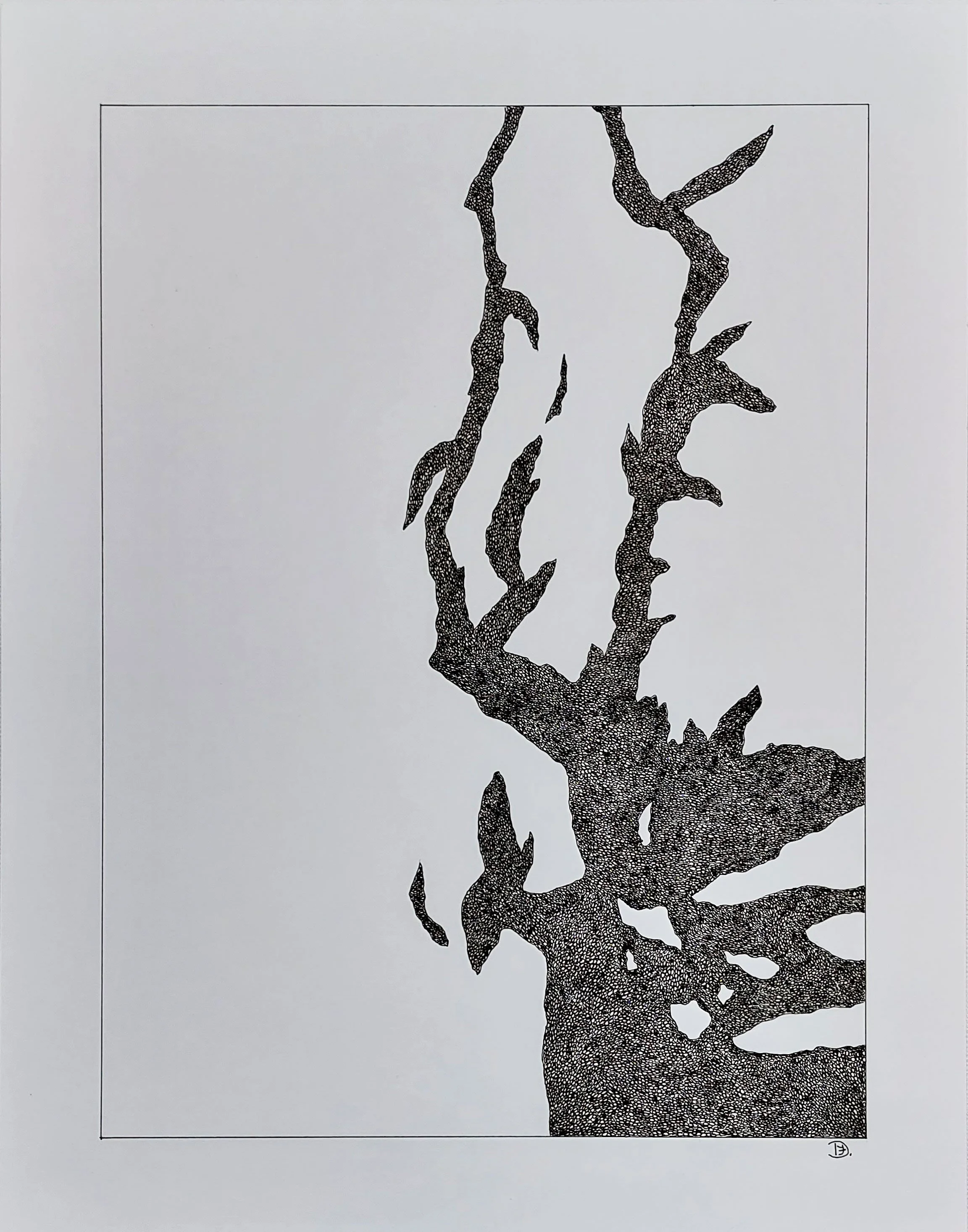 Growth is a detailed pen and ink drawing. Unique and organic shape.