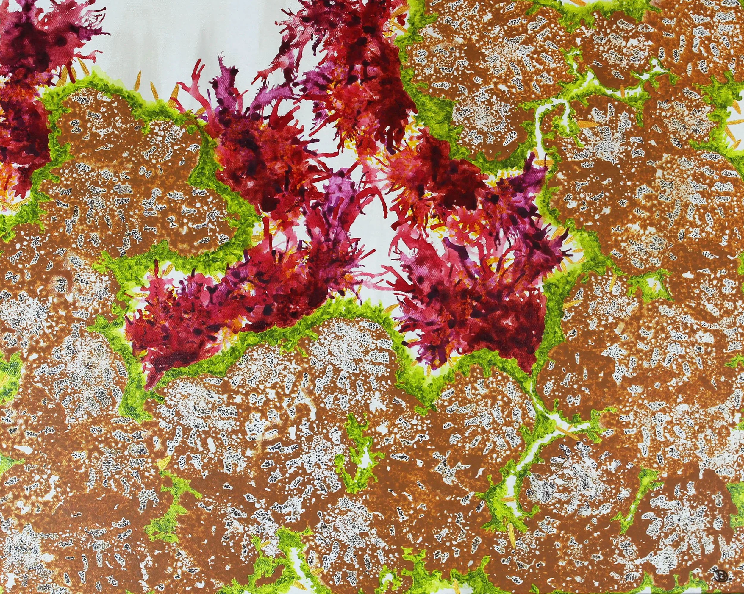 WBorregoBlooms.abDF3 Web.jpg