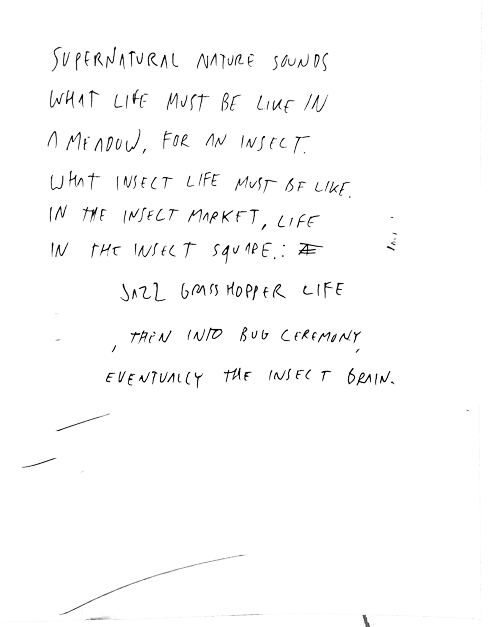 ja.png