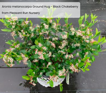 Screen Shot 2026-03-18 at 2.37.12 PM.png