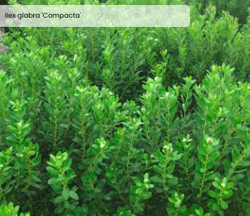 Screen Shot 2026-01-07 at 10.40.39 PM.png