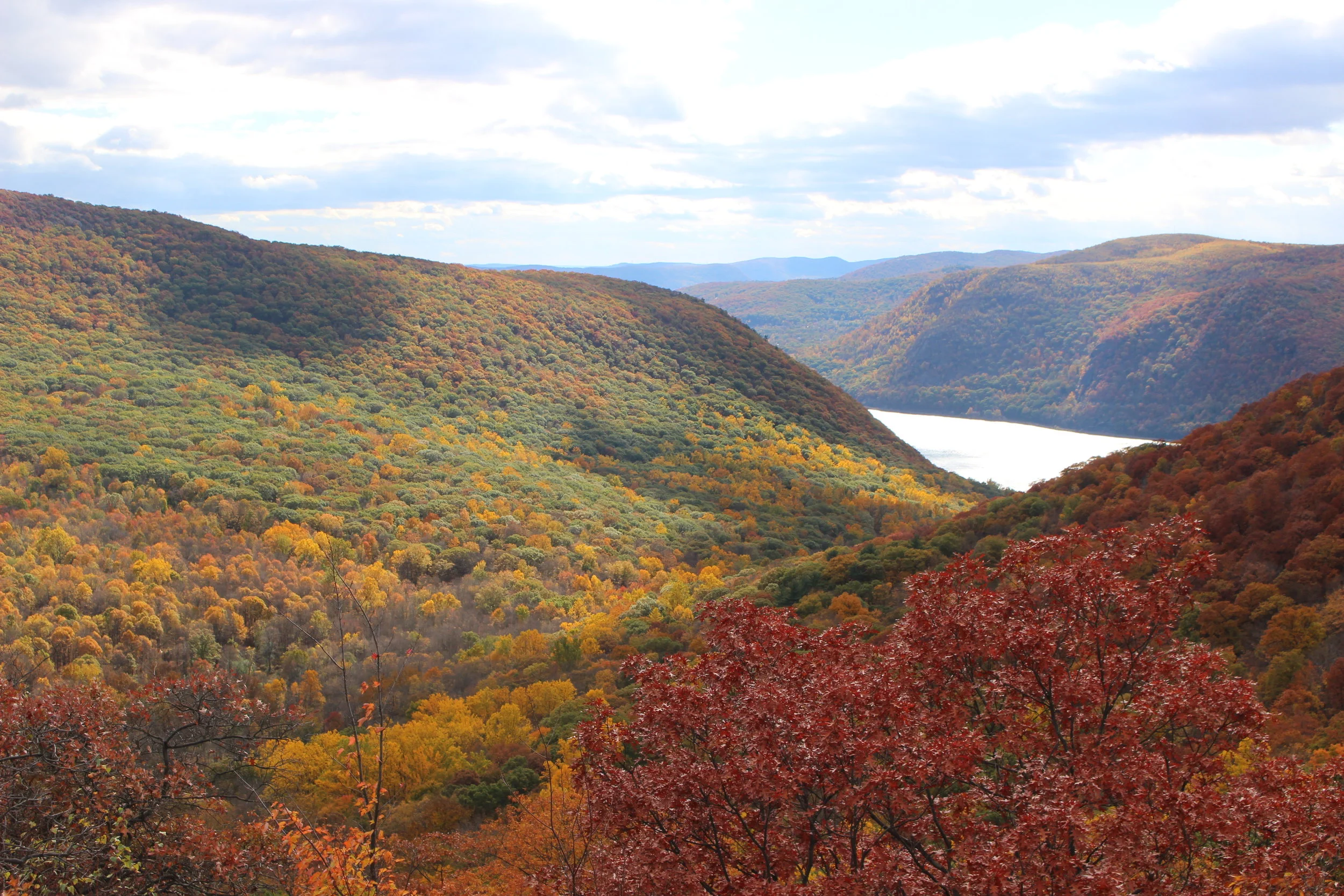 Sugar Maples, Oaks and Hickories illuminate the landscape 