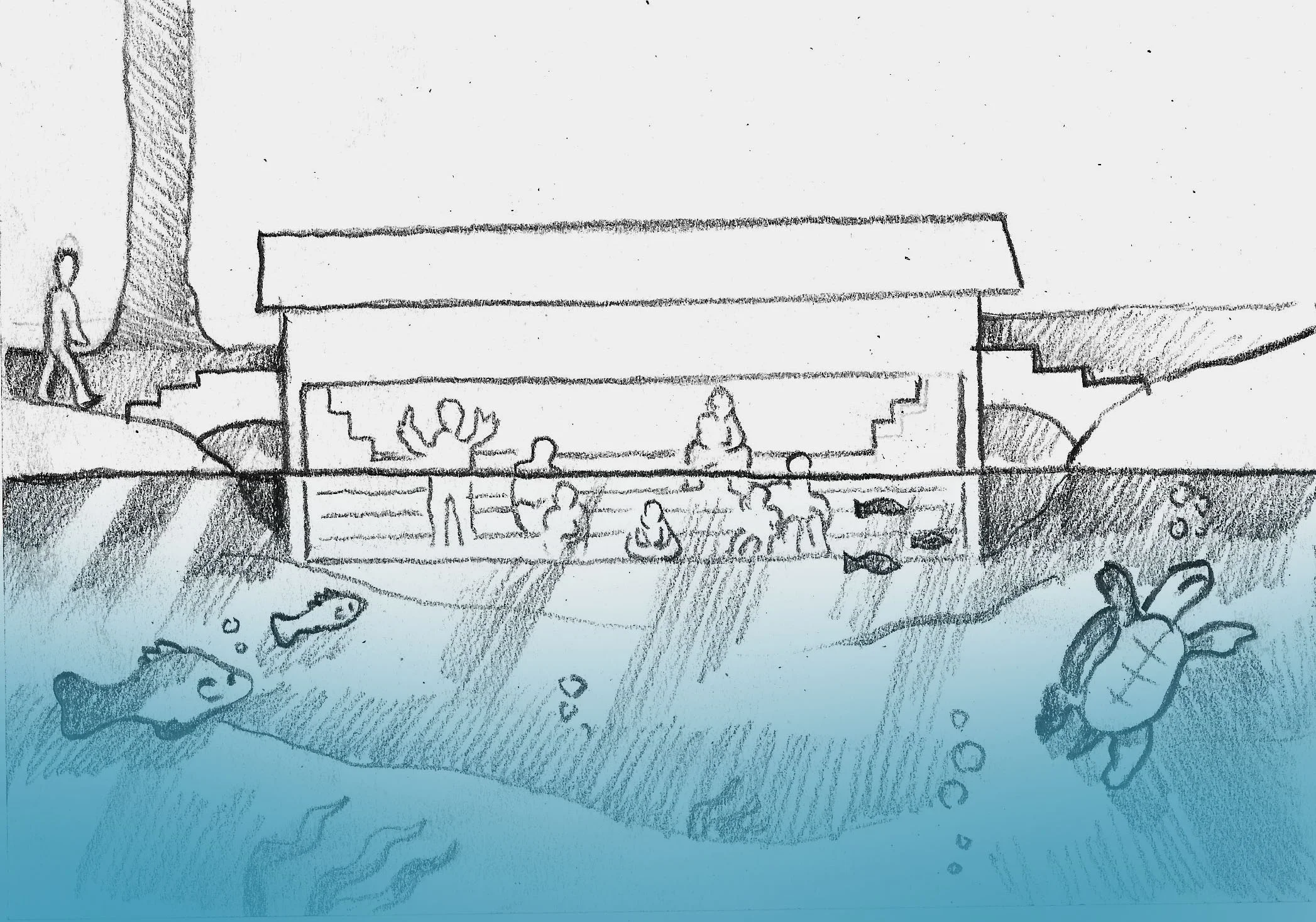 Pond Aquatic Bridge.jpg