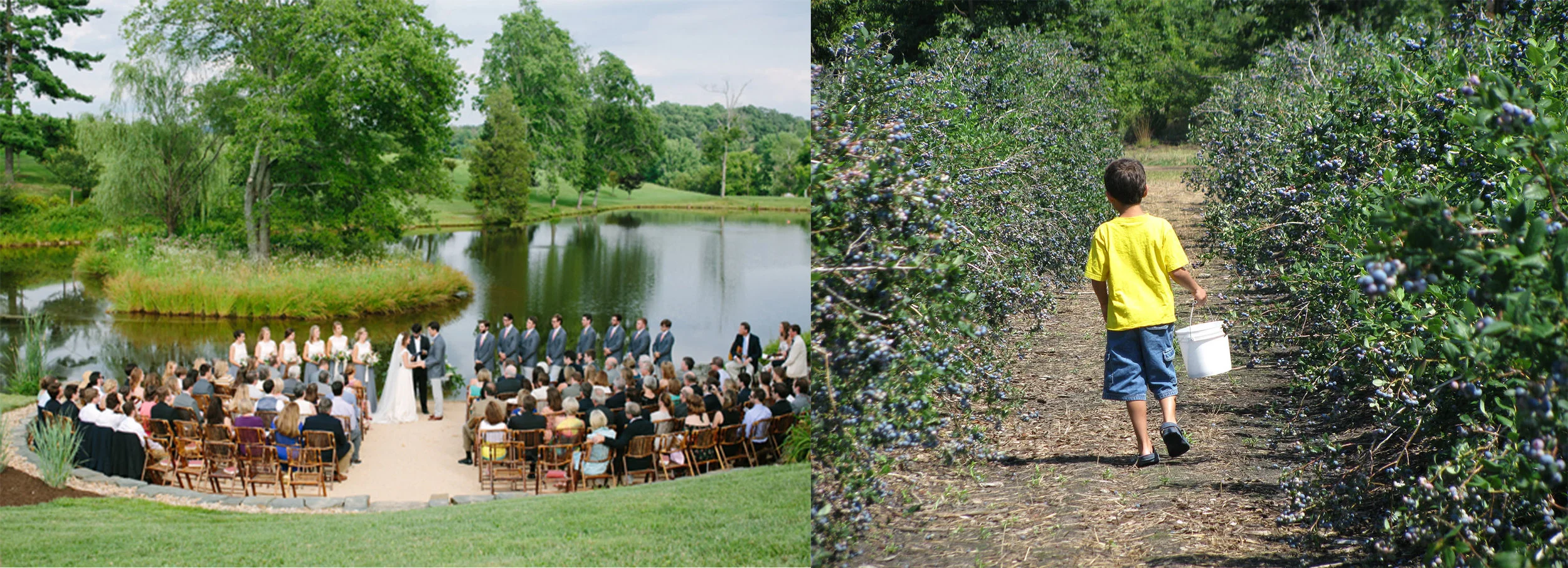 Farm as venue.jpg