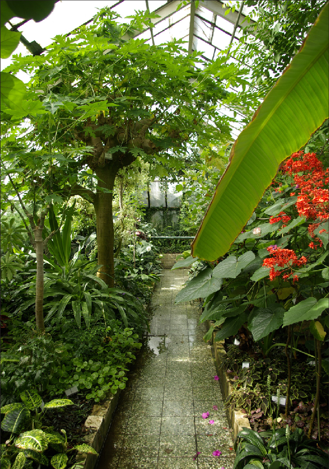 Tropical / heated: more options, controlled climate, warm in winter. Green year round,