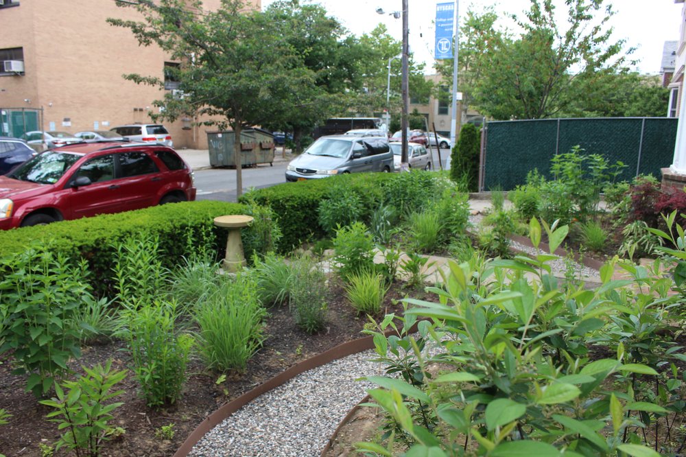One of our clients in Queens asked us to create a pollinator meadow in the front garden of their house. This is a photo fo the plants in early spring.