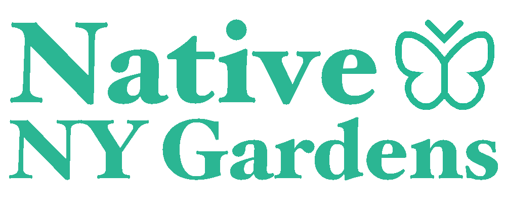 NATIVE NY Gardens