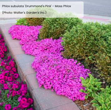 Screen Shot 2026-01-28 at 2.09.18 PM.png