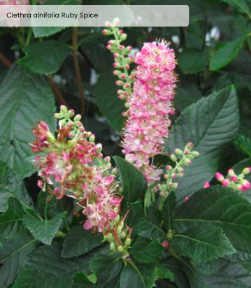 Screen Shot 2026-03-18 at 3.18.56 PM.png