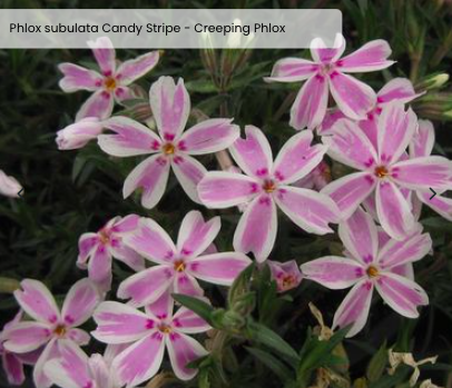 Screen Shot 2025-12-22 at 9.15.09 PM.png