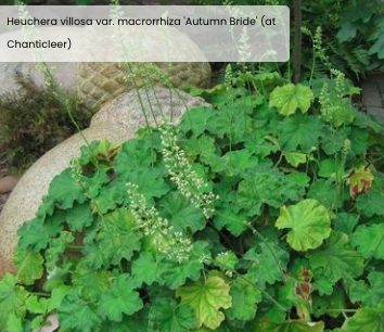 Screen Shot 2026-01-22 at 1.31.00 PM.png