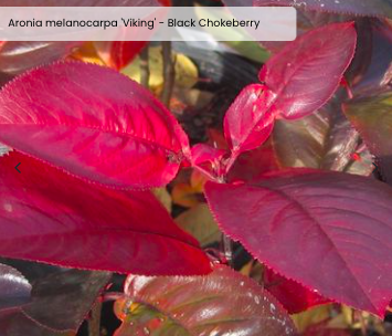 Screen Shot 2026-03-18 at 2.45.02 PM.png