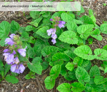 Screen Shot 2025-12-22 at 9.47.43 PM.png