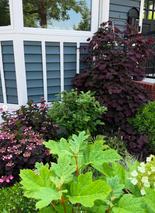 Screen Shot 2026-03-18 at 3.01.40 PM.png