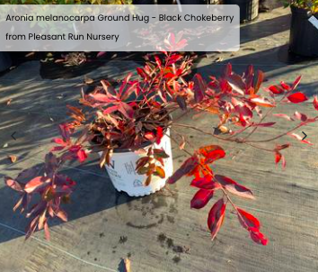 Screen Shot 2026-03-18 at 2.37.23 PM.png