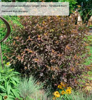 Screen Shot 2026-01-22 at 1.11.03 PM.png