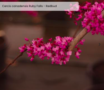 Screen Shot 2026-03-18 at 3.01.57 PM.png