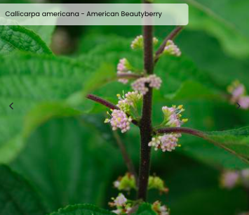 Screen Shot 2026-03-18 at 2.53.37 PM.png