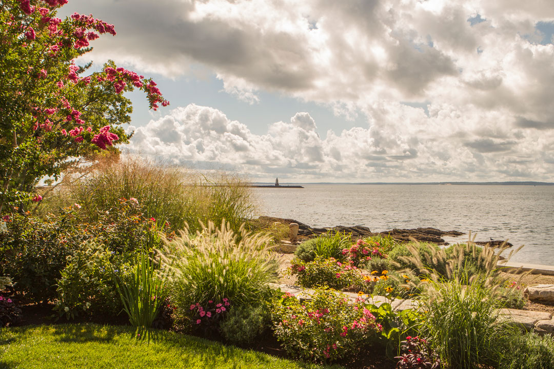 Beachside Planting Restoration