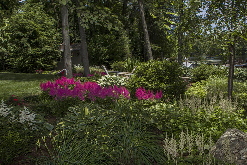 Backyard Plantings