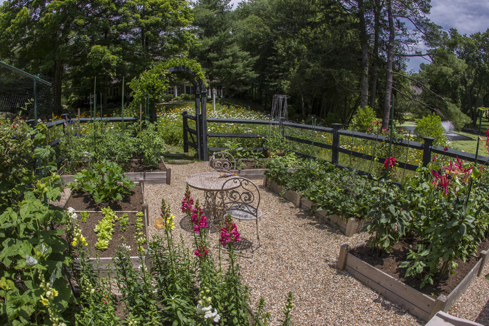 Garden Close-Up