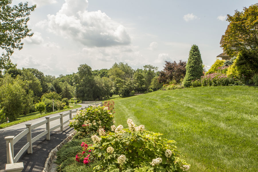 Wooded Entry