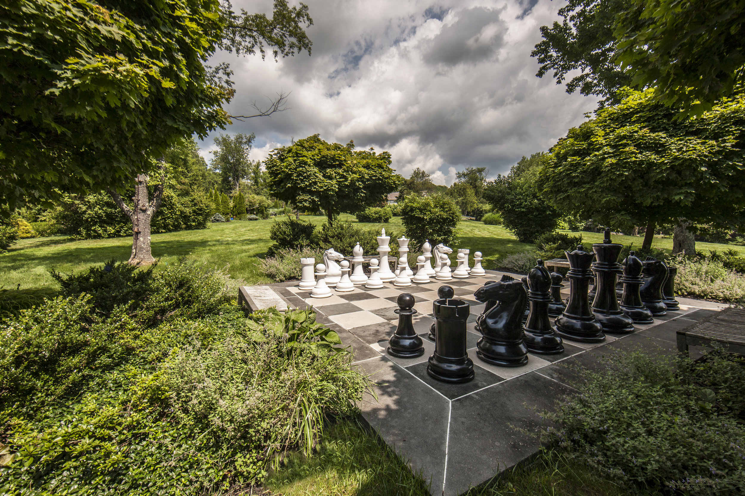 Edelsteins chess.jpg